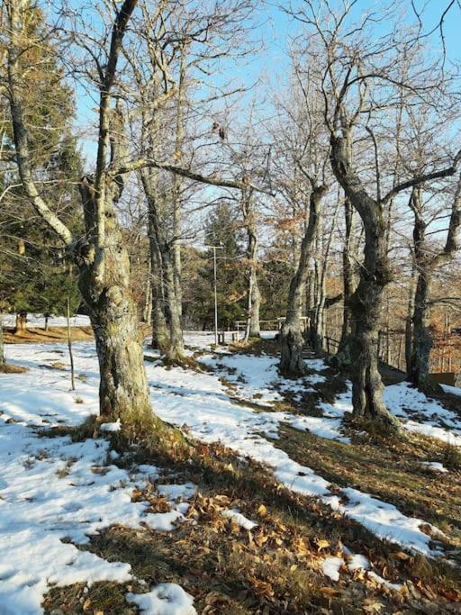 Casa Del Castagno: Un Nido Nel Castagneto Villa Pistoia Kültér fotó